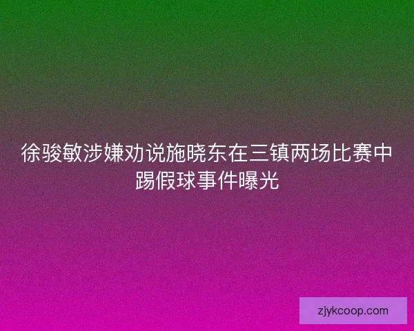 徐骏敏涉嫌劝说施晓东在三镇两场比赛中踢假球事件曝光